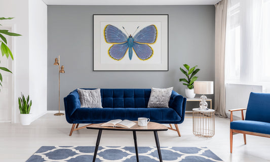 COMMON BLUE BUTTERFLY - giclee print