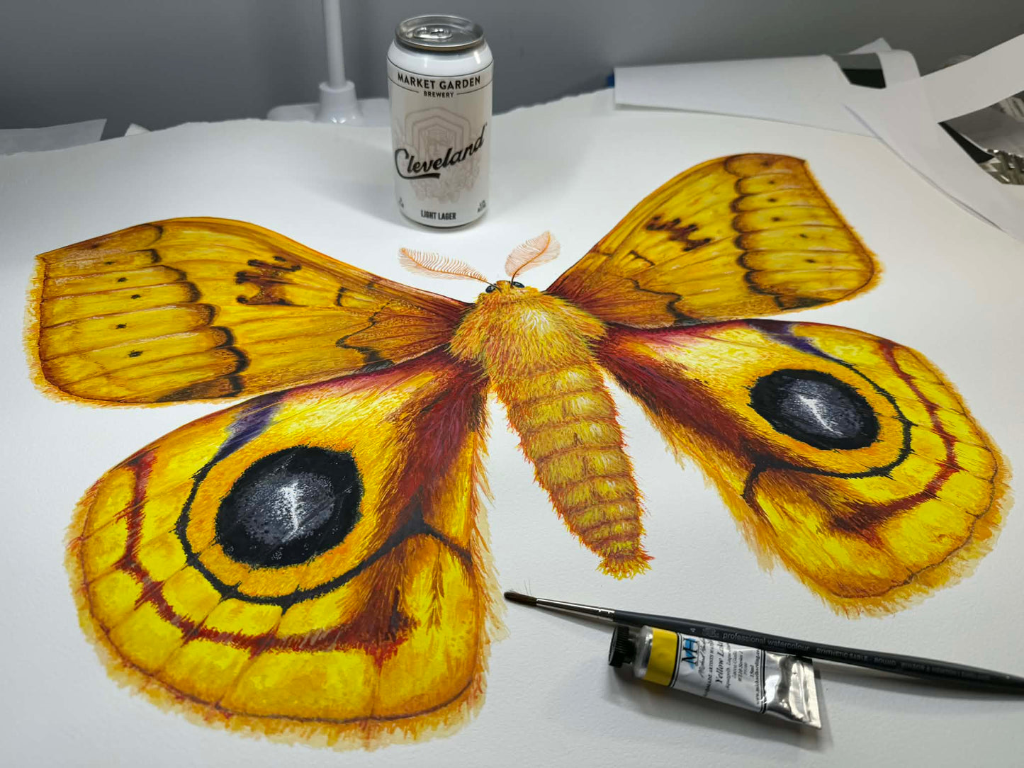Io Moth - Automeris Io - giclee print