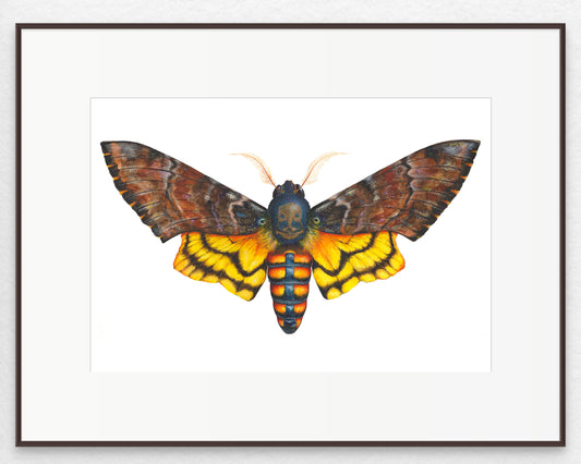 DEATH's HEAD MOTH - giclee print