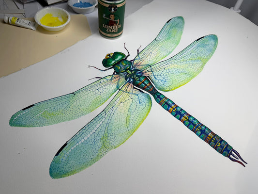 GREEN DRAGONFLY - original watercolour
