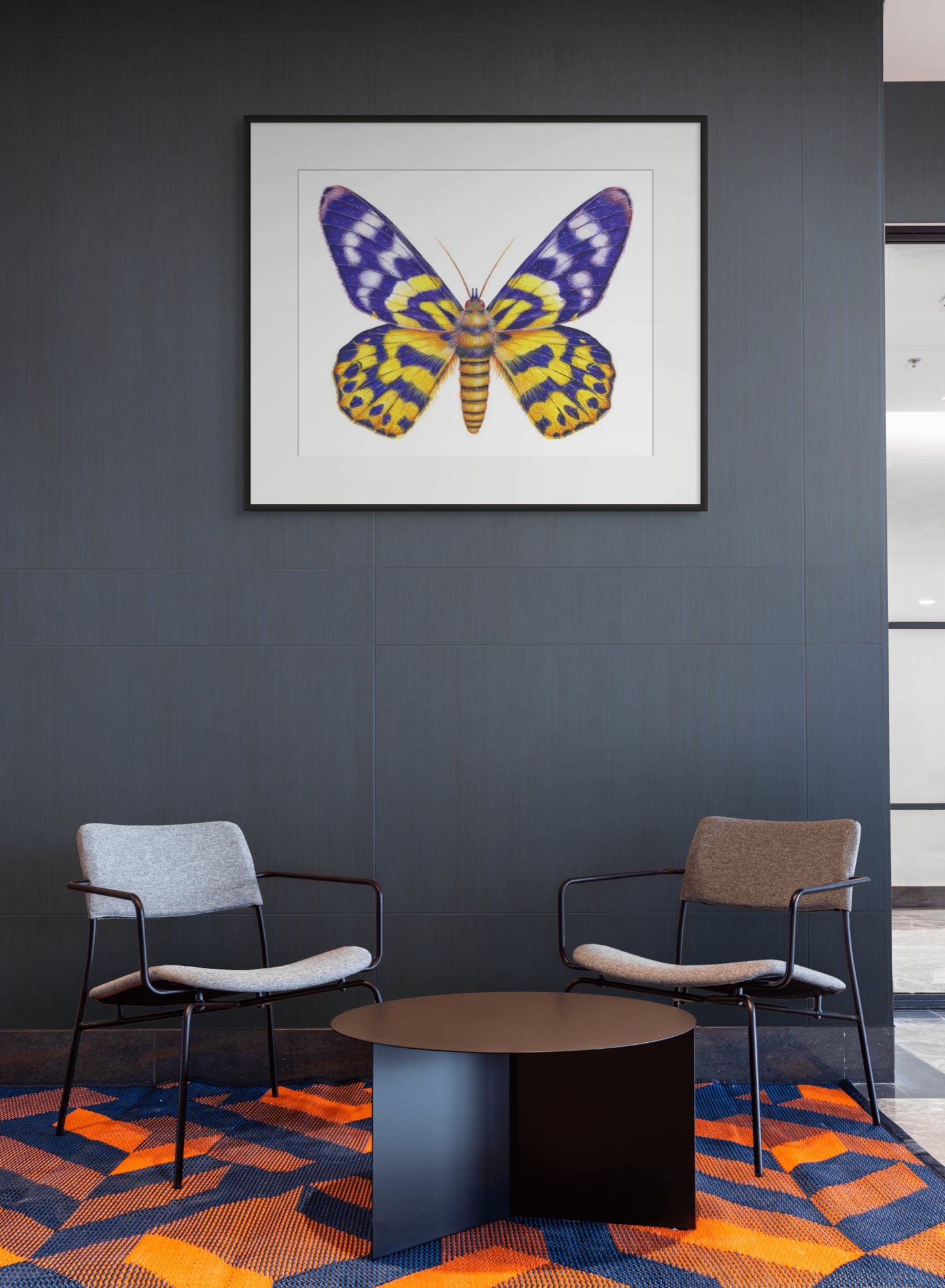 False Tiger/Dysphania Moth - giclee print