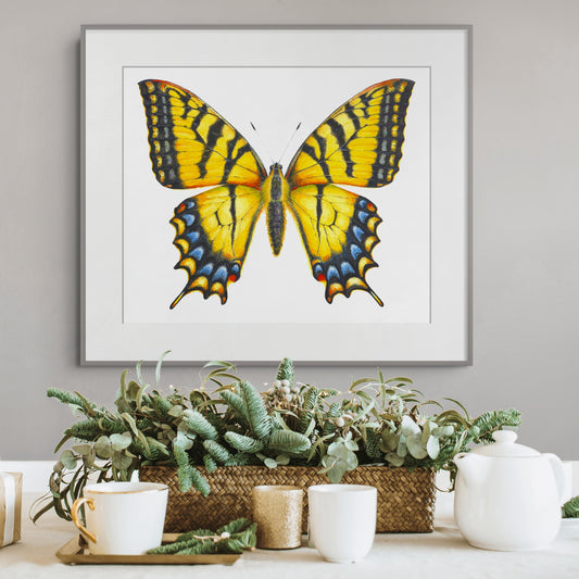EASTERN TIGER SWALLOWTAIL - giclee print
