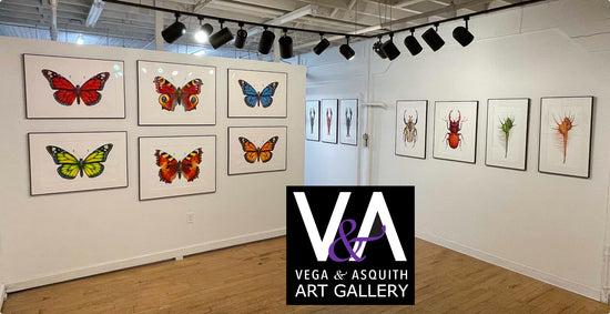 Vega and Asquith Gallery at 78th Street Studios