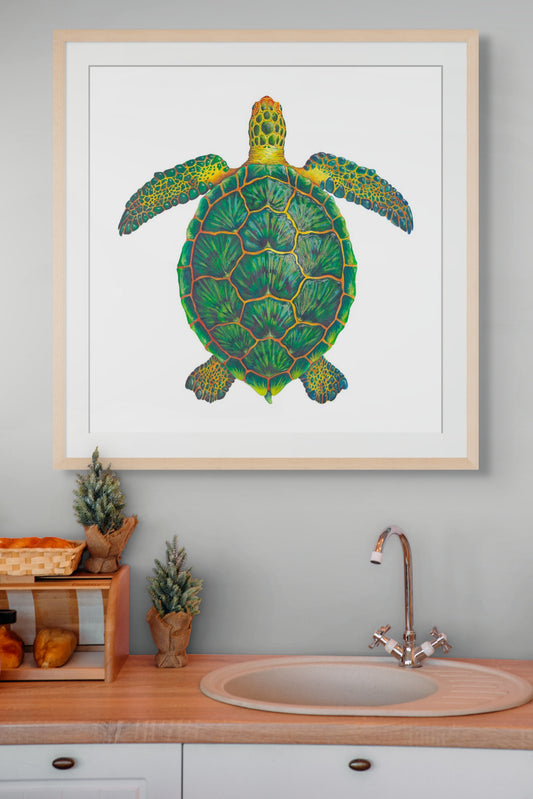 GREEN SEA TURTLE - giclee print