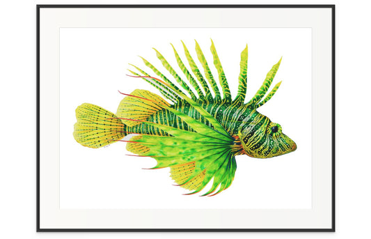 GREEN LIONFISH - original watercolour