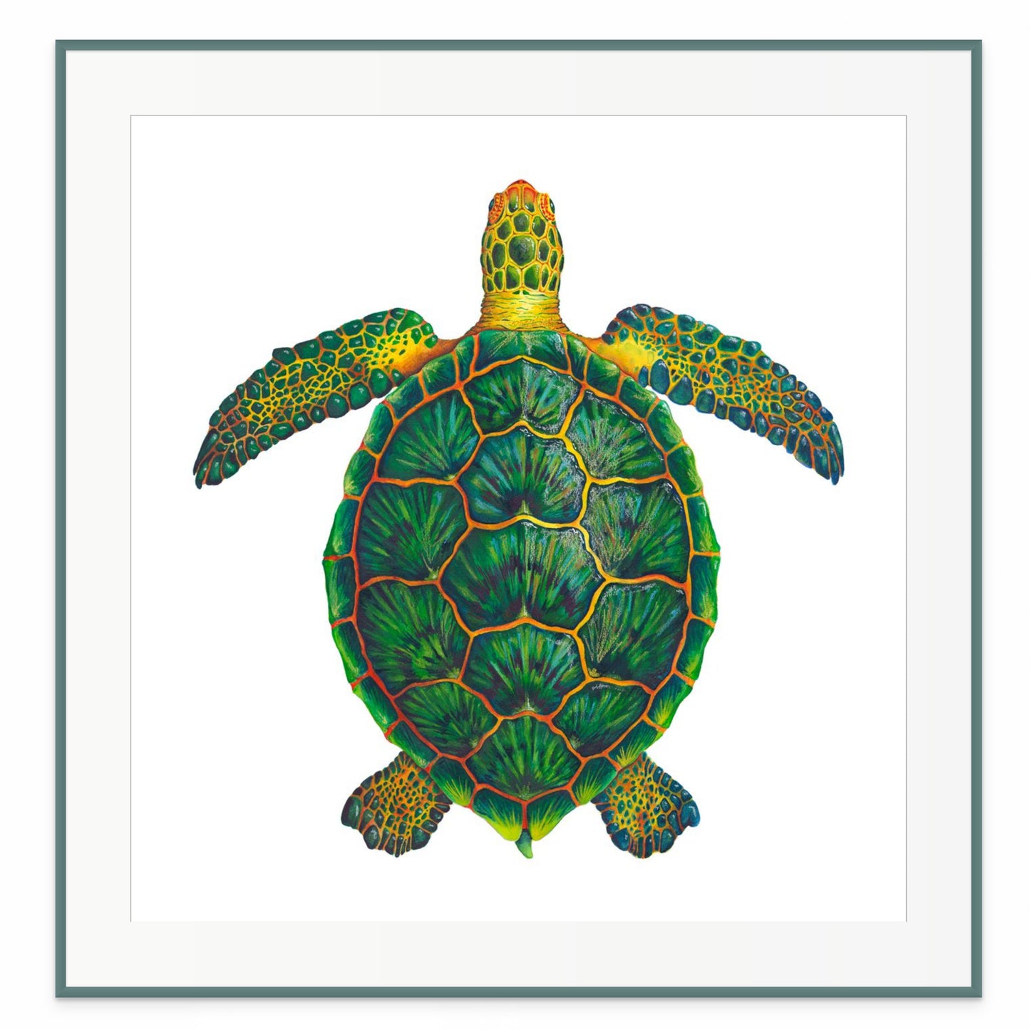 GREEN SEA TURTLE - giclee print