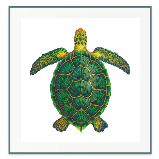GREEN SEA TURTLE - original watercolour