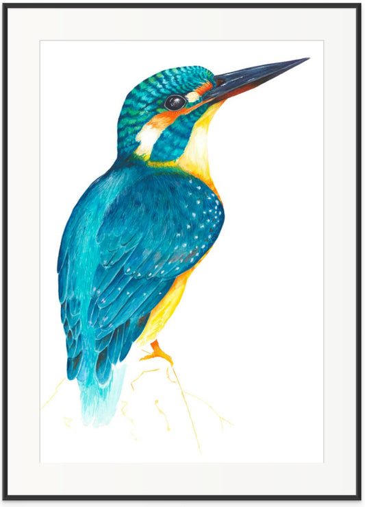 COMMON KINGFISHER - original watercolour