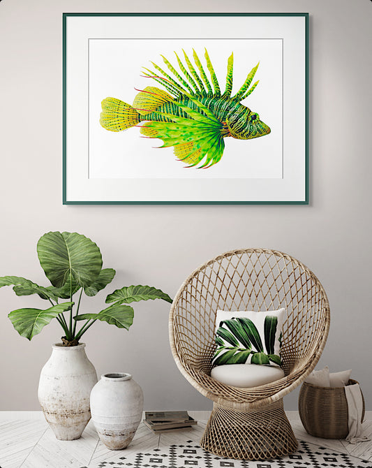 GREEN LIONFISH - giclee print