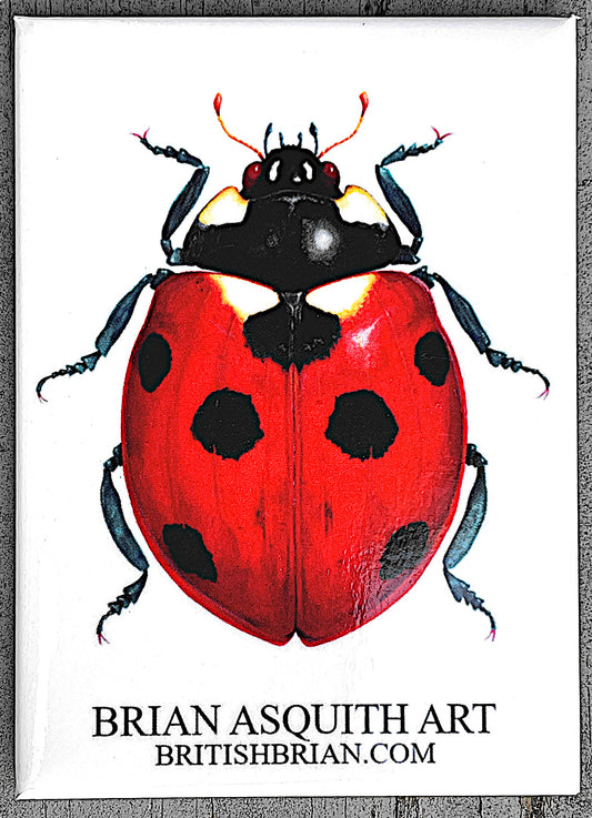 7-Spot Ladybug - fridge magnet