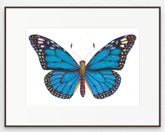 MONARCH BUTTERFLY (BLUE) - original watercolour