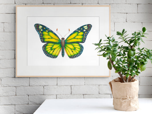 Monarch Butterfly (Yellow) - giclee print