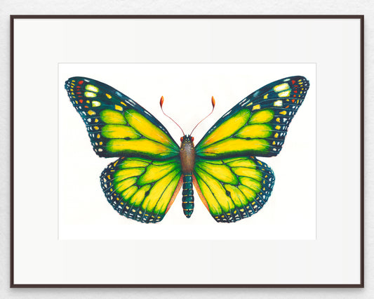 MONARCH BUTTERFLY (YELLOW) - original watercolour