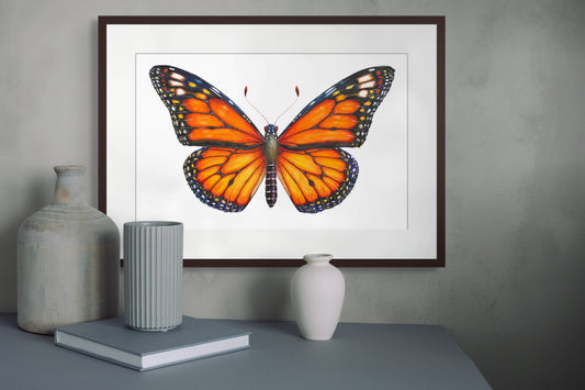Monarch Butterfly - giclee print