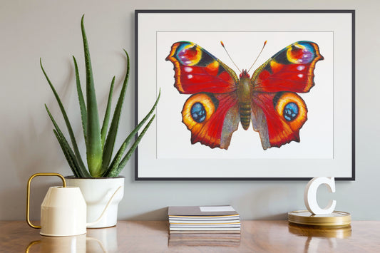 Peacock Butterfly - giclee print