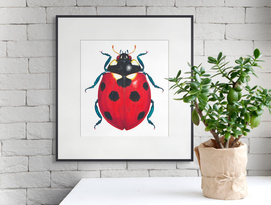 7 Spot Ladybird/Ladybug - giclee print