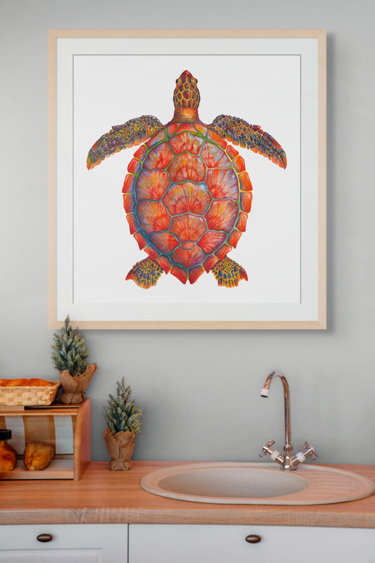 RED SEA TURTLE - giclee print
