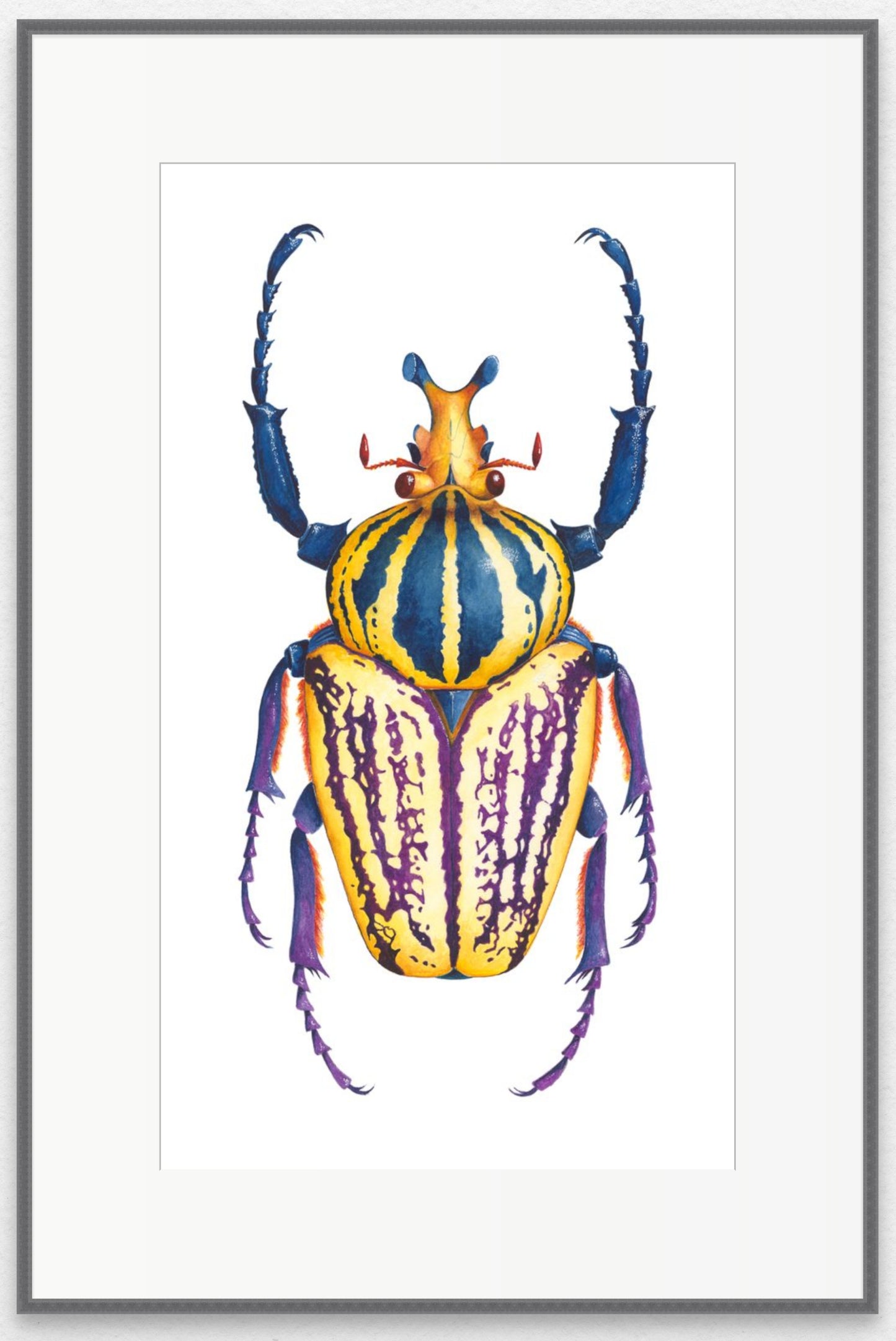 SCARAB BEETLE - original watercolour