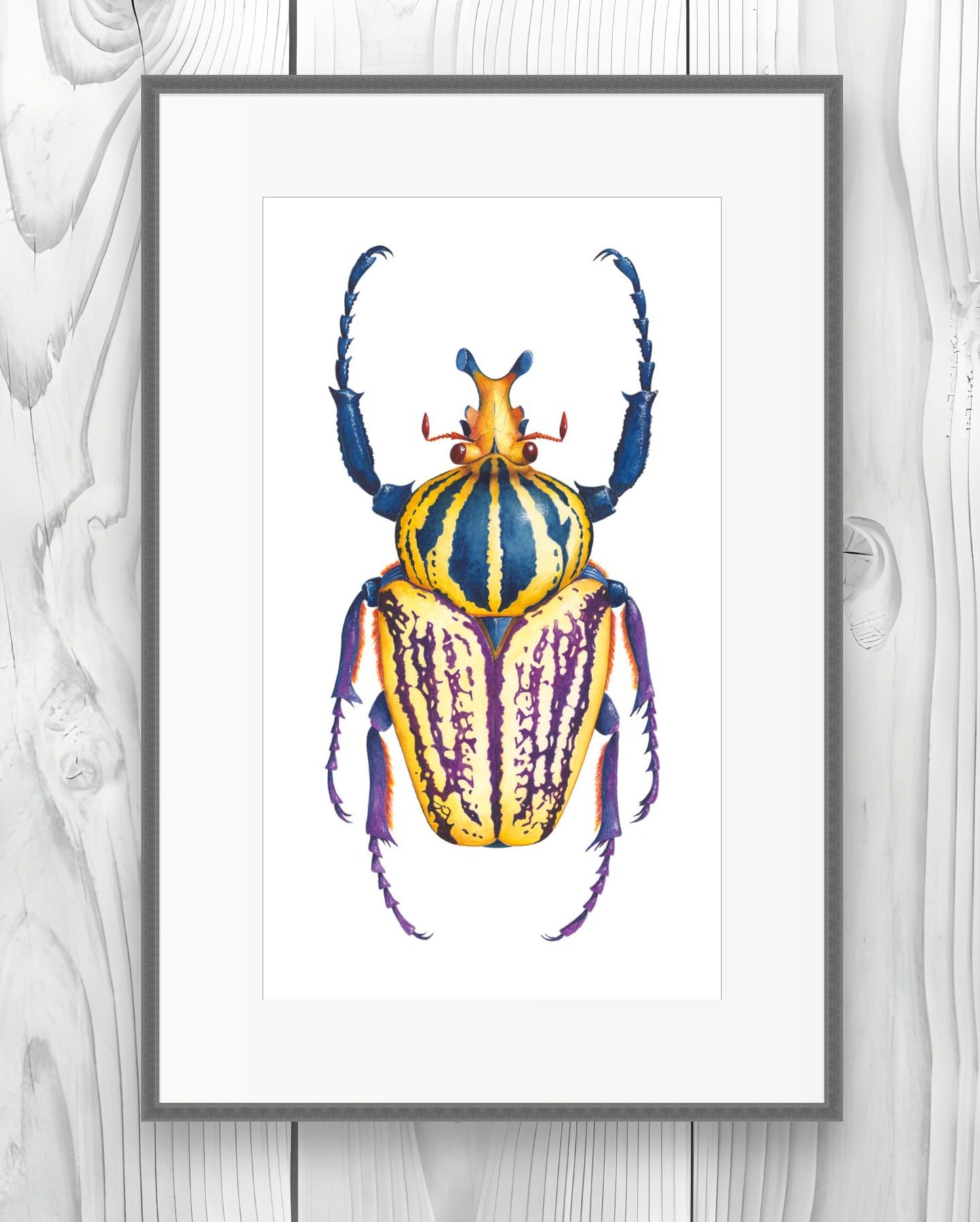 SCARAB BEETLE - original watercolour
