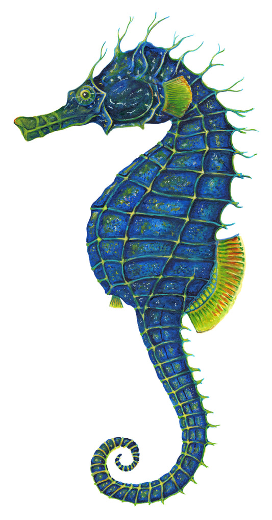 BLUE SEAHORSE - original watercolour