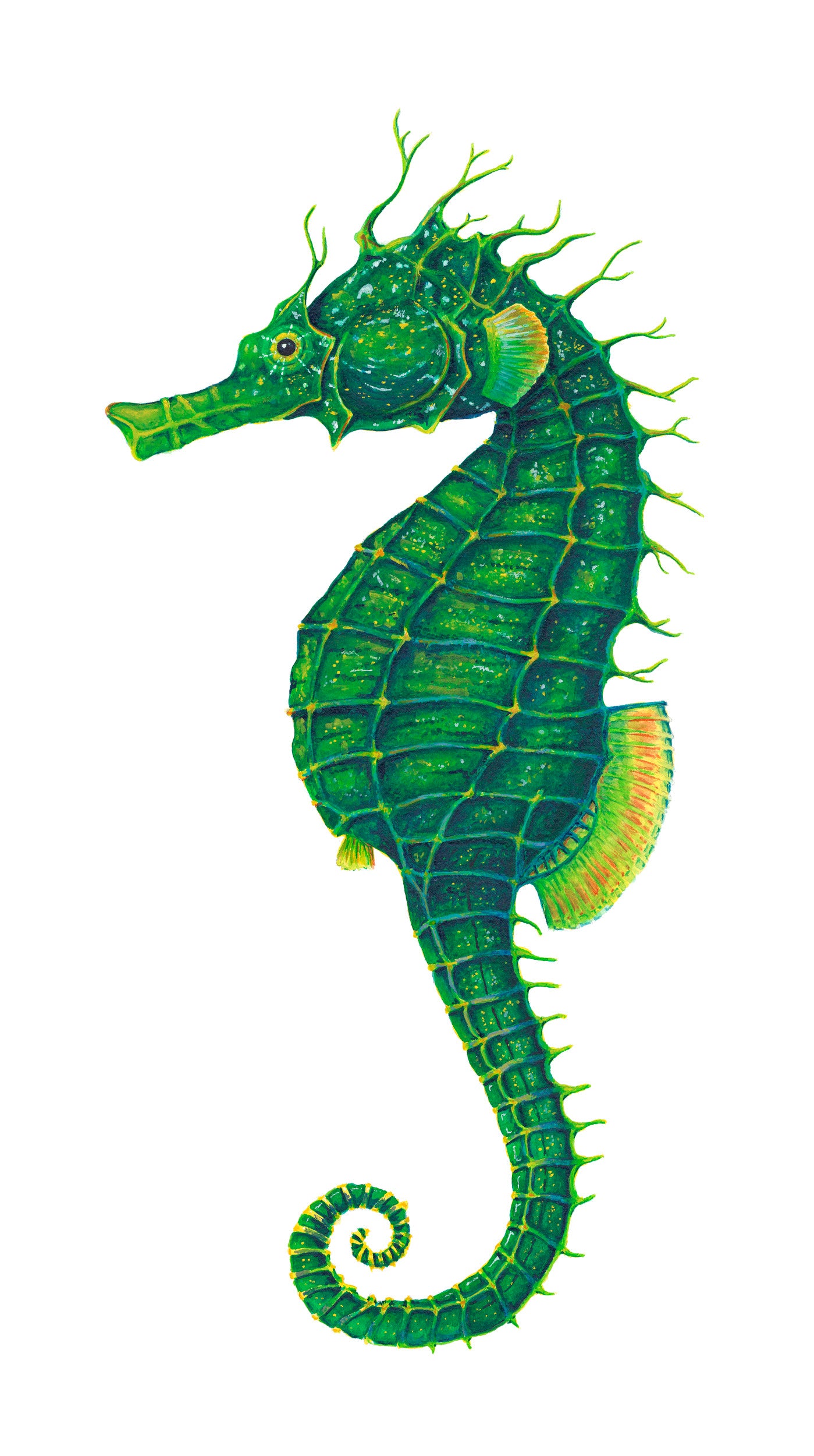 GREEN SEAHORSE - original watercolour