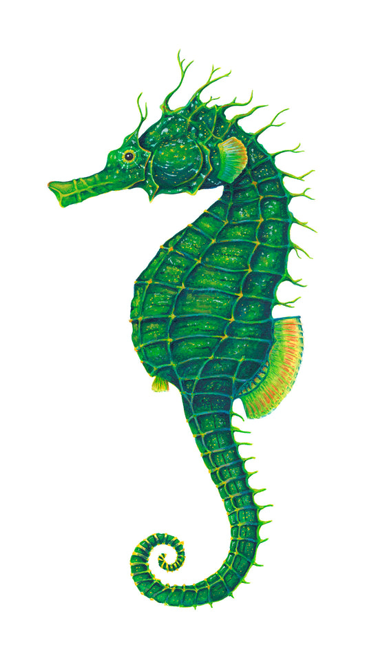 GREEN SEAHORSE - original watercolour