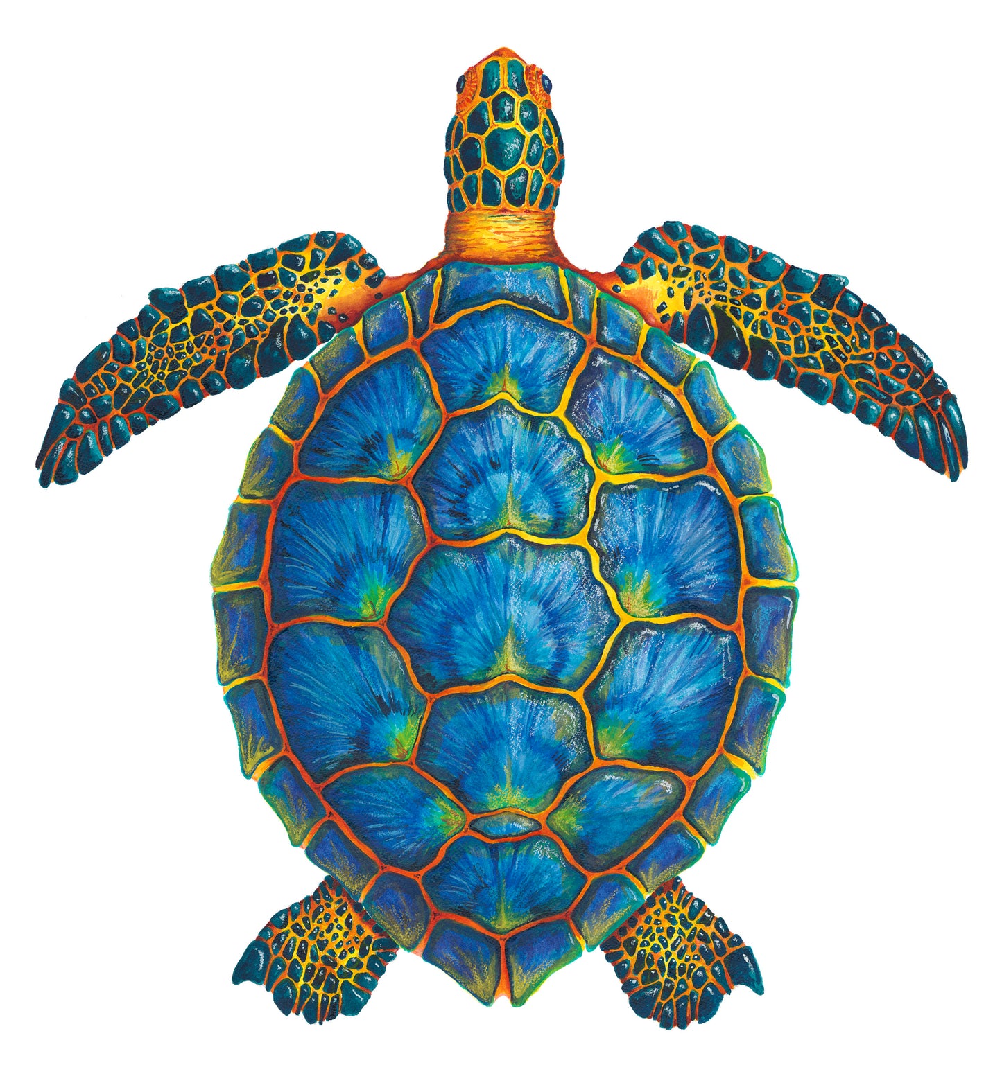 BLUE SEA TURTLE - giclee print
