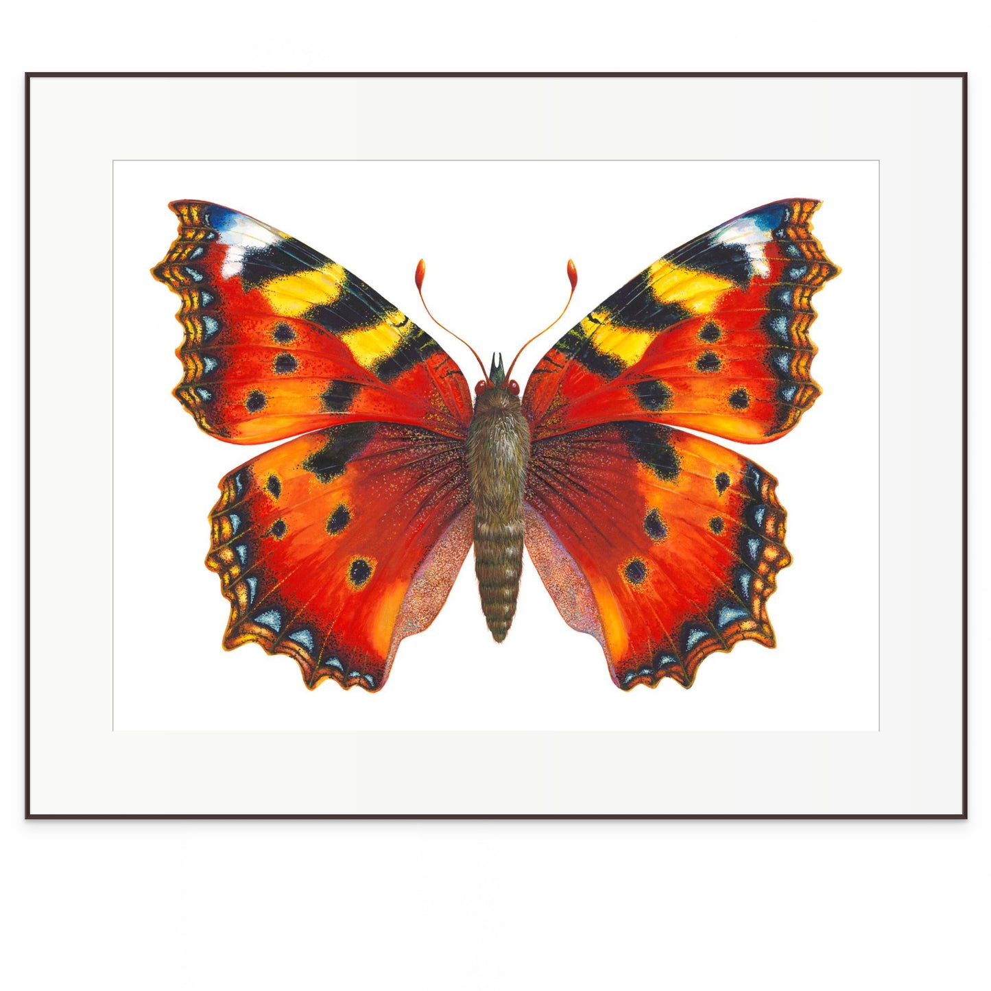 Small Tortoiseshell Butterfly - original watercolour