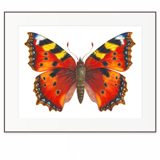 Small Tortoiseshell Butterfly - original watercolour