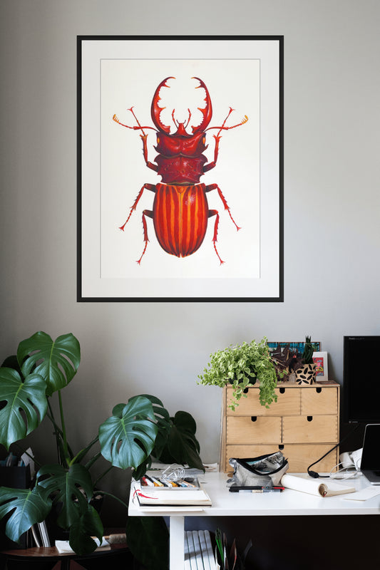RED STAG BEETLE - giclee print