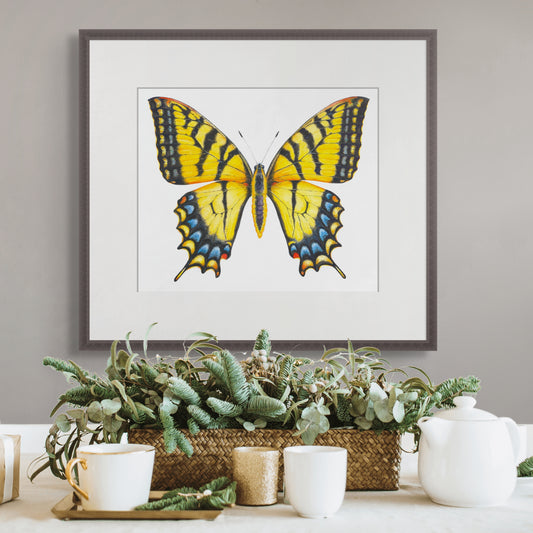 EASTERN TIGER SWALLOWTAIL - giclee print