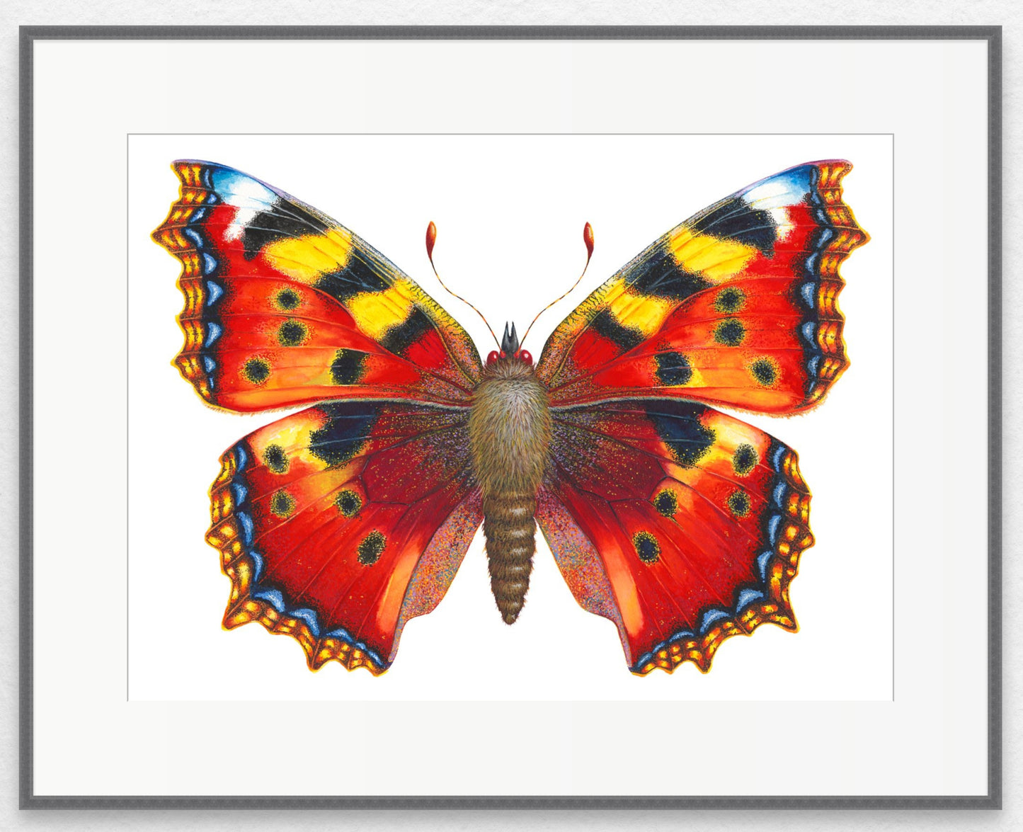 Small Tortoiseshell Butterfly vers 2 - original watercolour